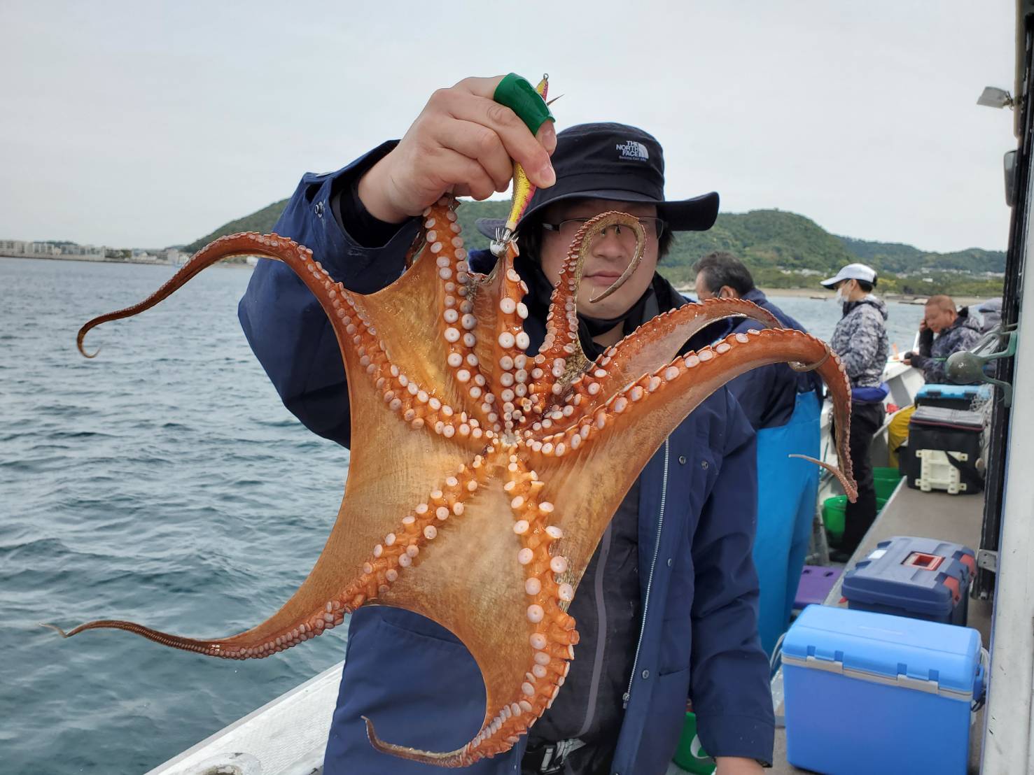本日の釣果情報｜葉山正一丸